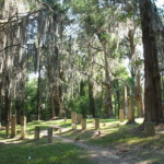 Rocky Springs Revisted